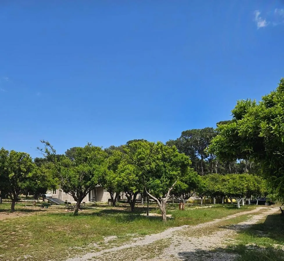 Orange Beach Camp Beldibi  Turkey