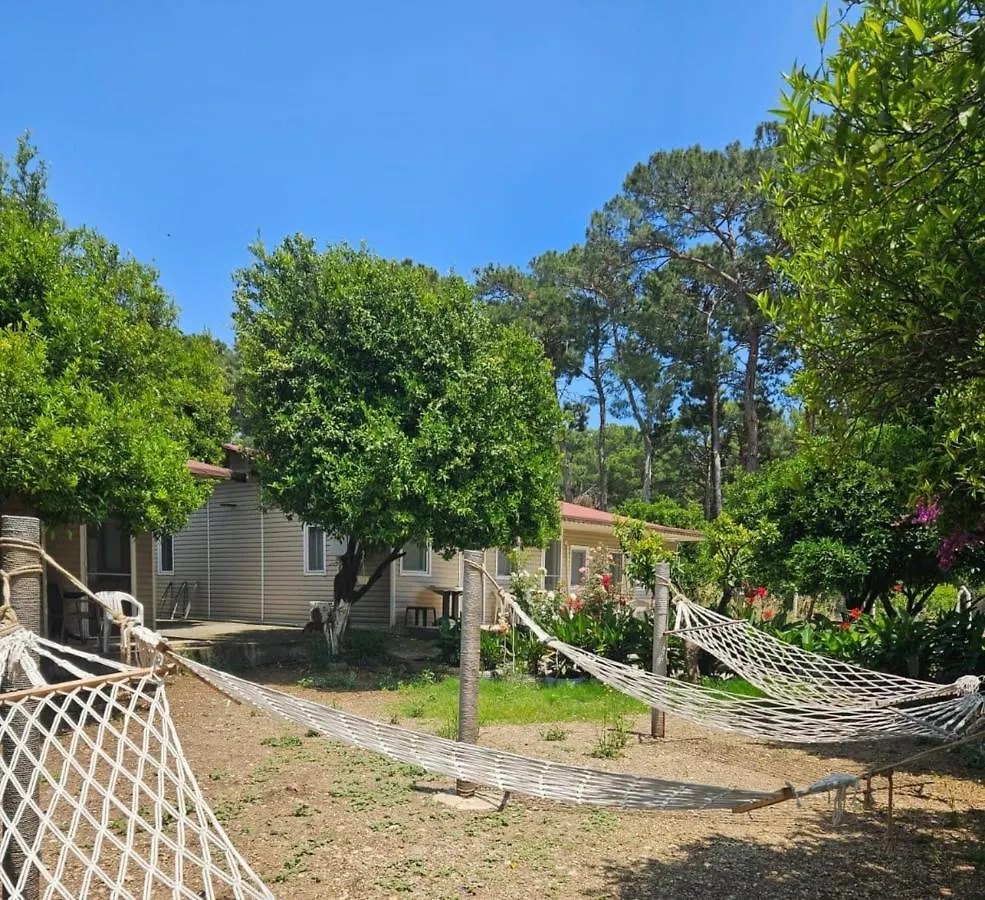 Campsite Orange Beach Camp Beldibi