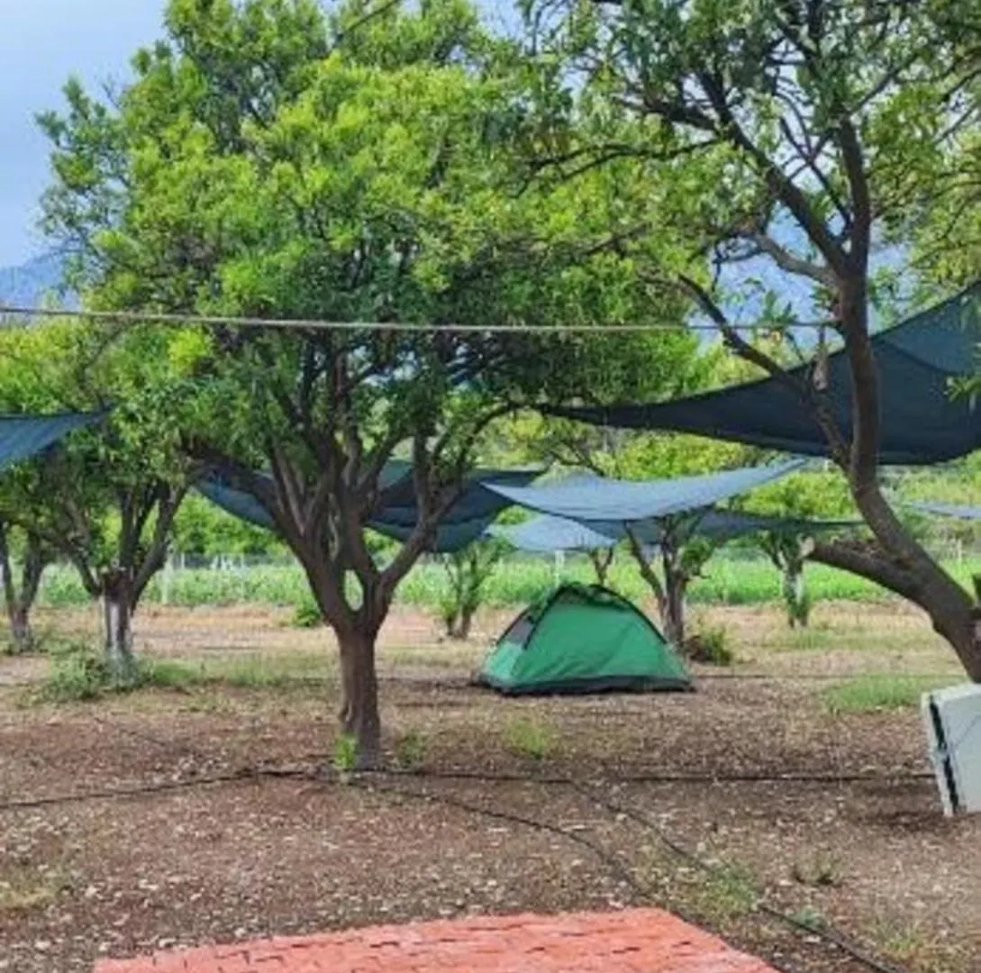 Campsite Orange Beach Camp Beldibi